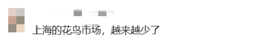 2026FIFA世界杯赛事官网入口 岚灵花鸟市场行将追念！这些亮点先睹为快→