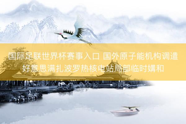 国际足联世界杯赛事入口 国外原子能机构调遣好意思满扎波罗热核电站局部临时媾和