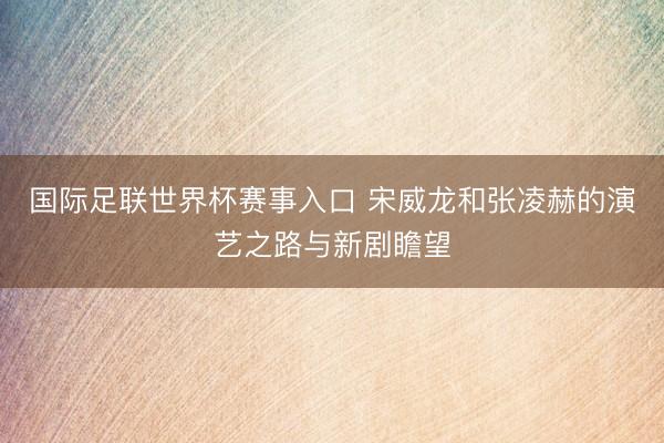 国际足联世界杯赛事入口 宋威龙和张凌赫的演艺之路与新剧瞻望